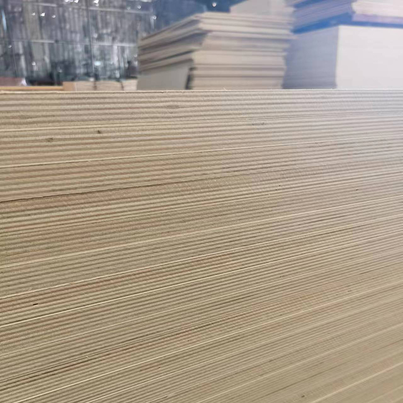中国 9 毫米 100% 桦木胶合板
